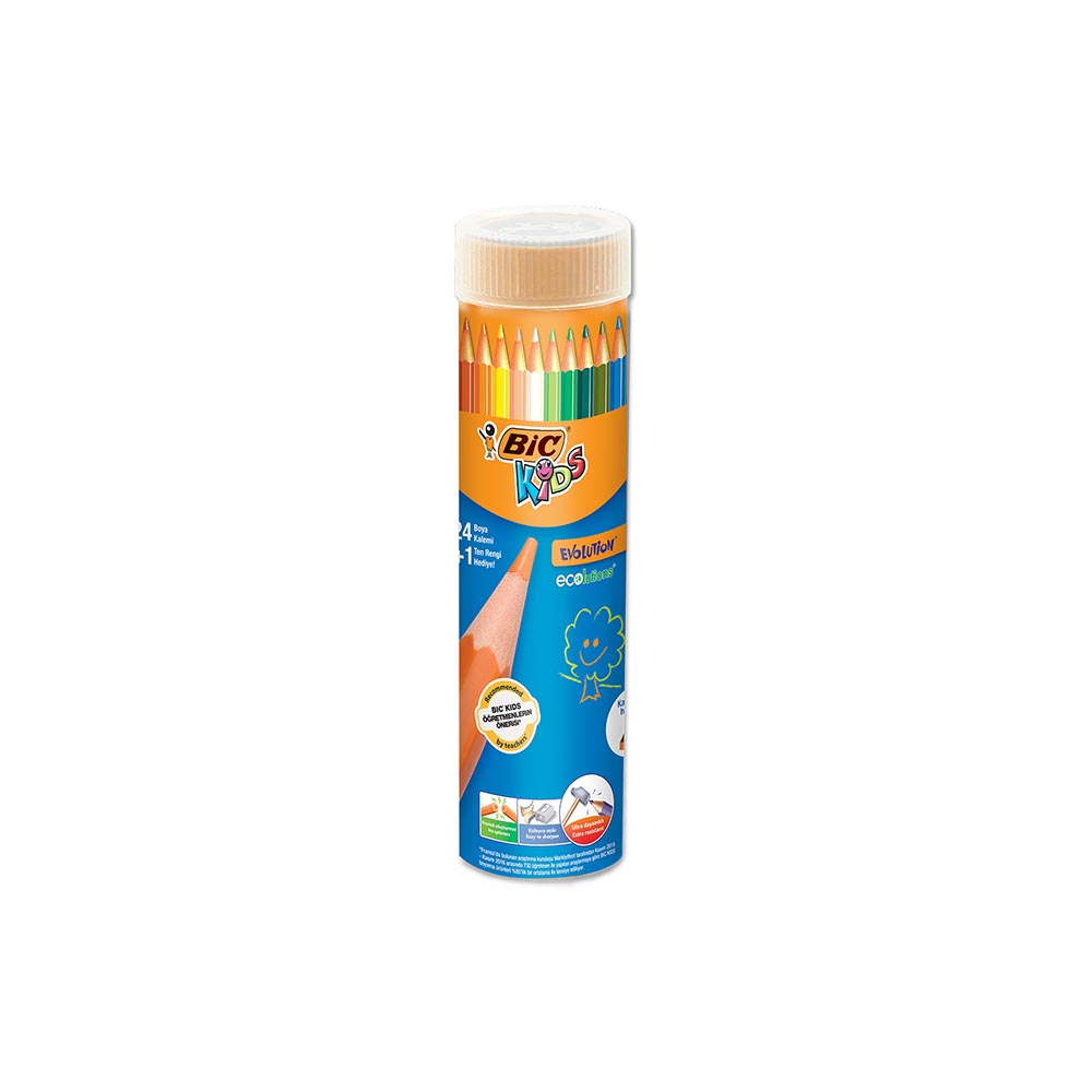 BİC EVOLUTION KURUBOYA KALEMİ 24LÜ TÜP 958190