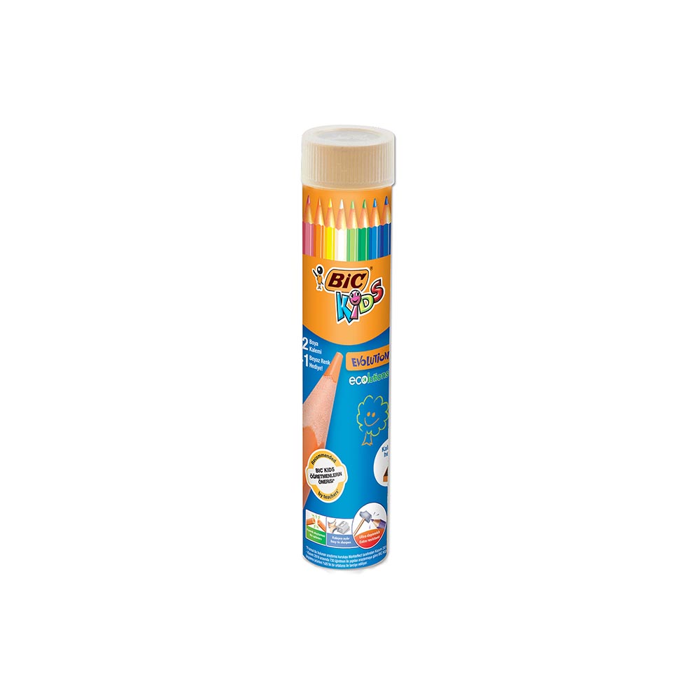 BİC EVOLUTION KURUBOYA KALEMİ 12Lİ TÜP 958191